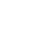 PepsiCo