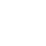 Wells Fargo